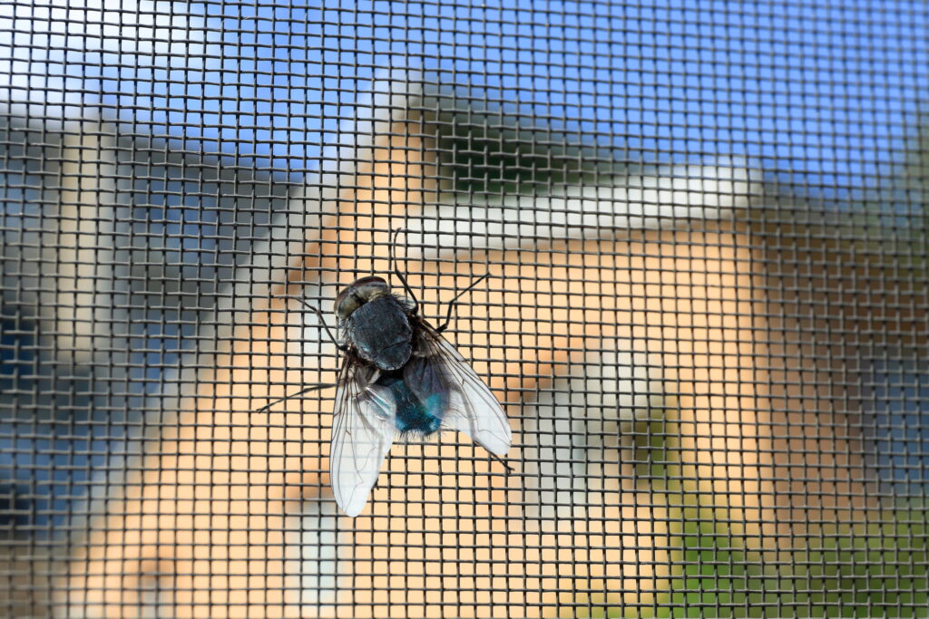 Fly screen door
