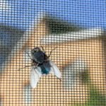 Fly screen door