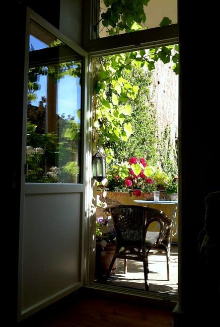 A garden patio with plants seen through an open glass door