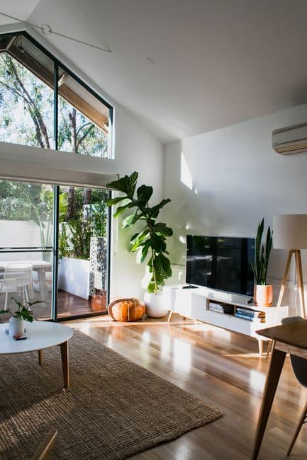 A modern living room with a glass wall and a potted plant