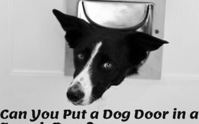 Can You Put a Dog Door in a French Door? The Ultimate Guide for Australian Pet Owners