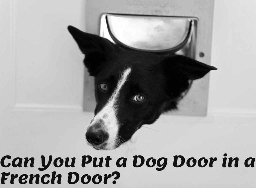 how do you put a dog door in a french door