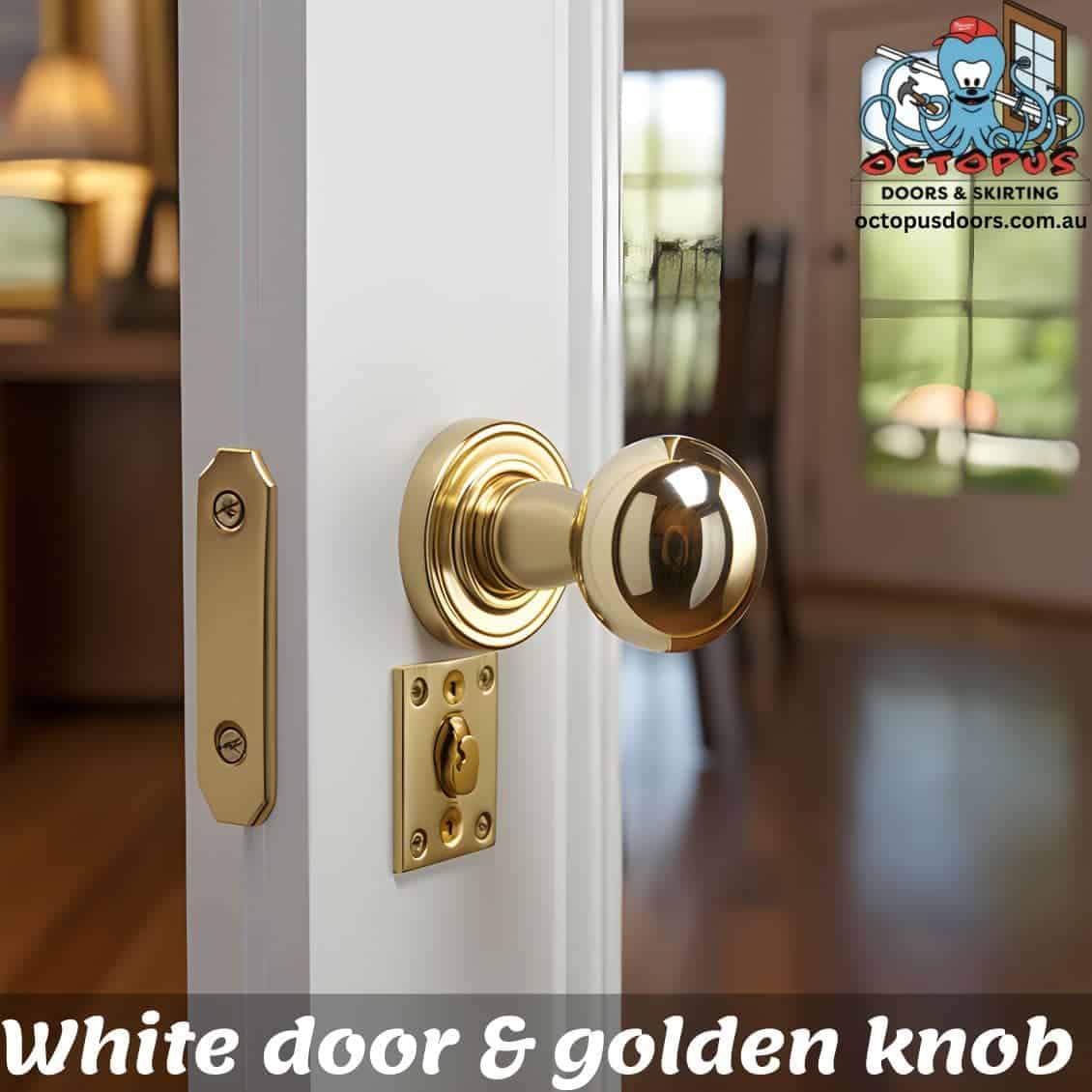 White door & golden knob (1)