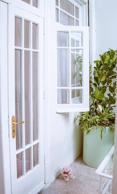 White French doors with glass panes beside a large potted plant