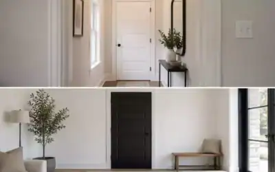 Black or White Interior Doors for a House With Light Walls?