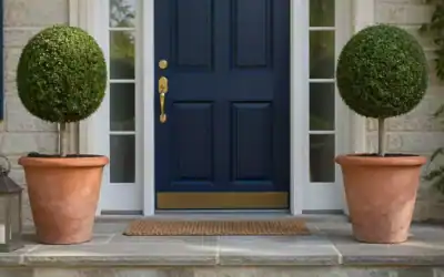 12 Front Door Trees in Pots That Make an Entry Look Instantly Finished
