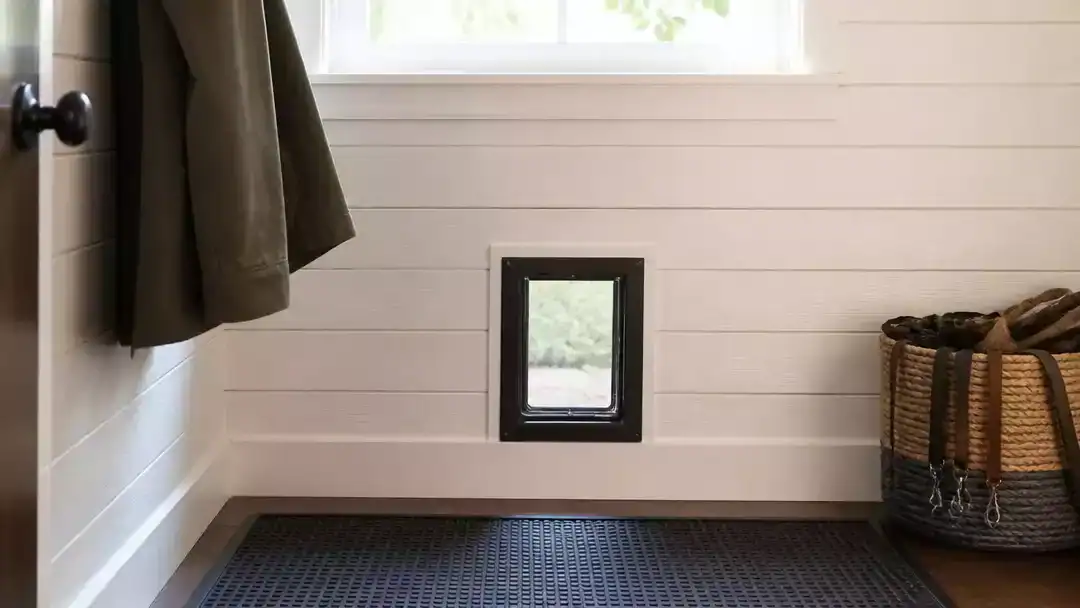 10 Pet Door Ideas for Homes Where You Don’t Want to Ruin the Front Door